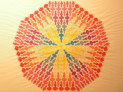 DSCN2372