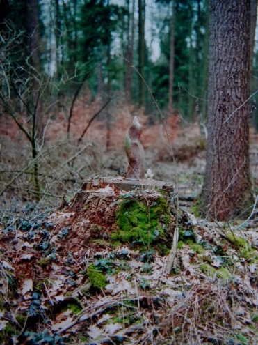 vergaenglichkeit